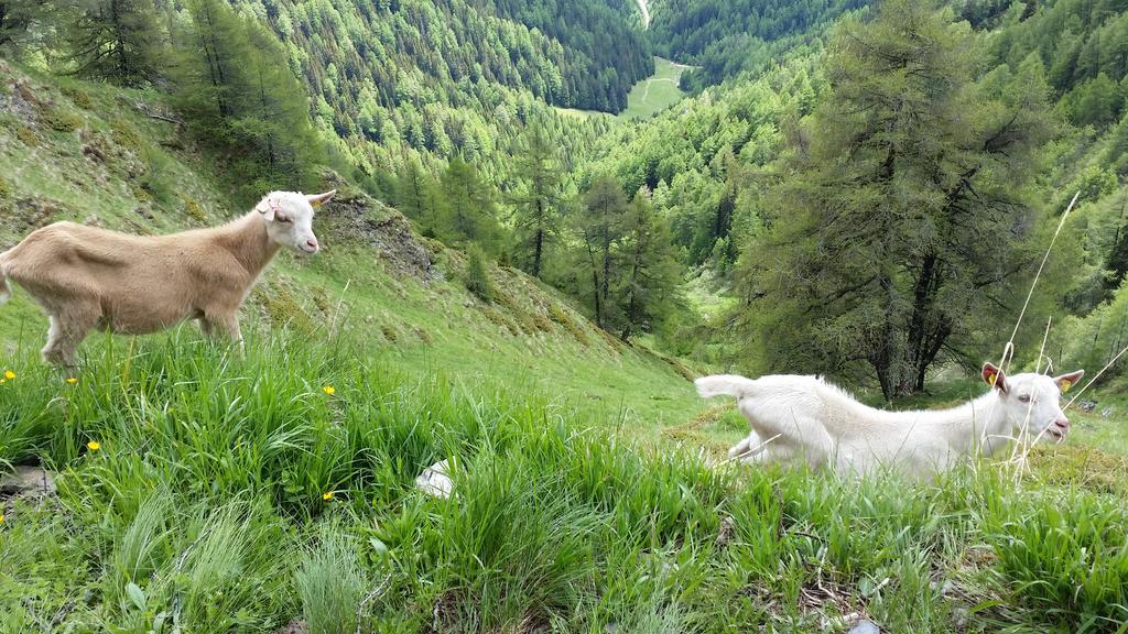 Vila Bergerhof Kals-am Großglockner Exteriér fotografie